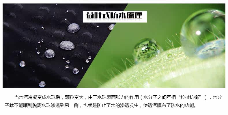 Maillot de bain homme - Ref 2510306 Image 17