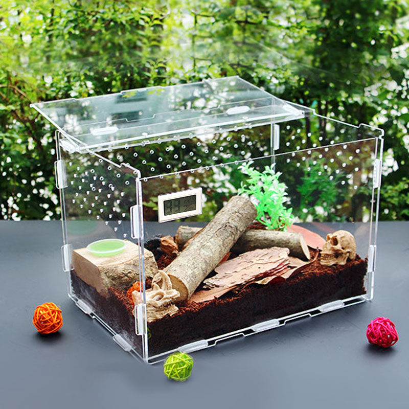 One-horned fairy feeding box beetle feeding box climbing pet feeding box acrylic transparent plastic beetle climbing pet feeding box