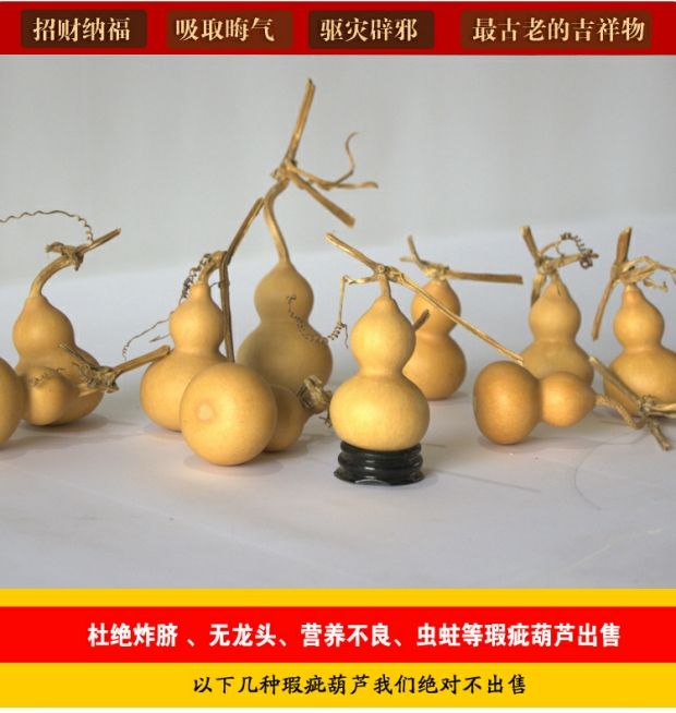 Bầu bầu tự nhiên nhỏ bầu bầu mảnh tay bầu wenwan Palăng đồ trang trí bầu lớn cơ sở trồng - Trang trí nội thất tự trang trí phòng ngủ handmade