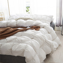 Winter thickened warm 95 white goose down winter quilt high-end five-star hotel double silent down quilt quilt cotton quilt core