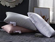 Foreign trade export down pillow pillow five-star hotel 95% white goose down pillow adult pair of cervical pillow core