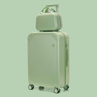 Avocado Green Zizi Box [Европейская и американская поделка+квалификация пожизненной жизни]