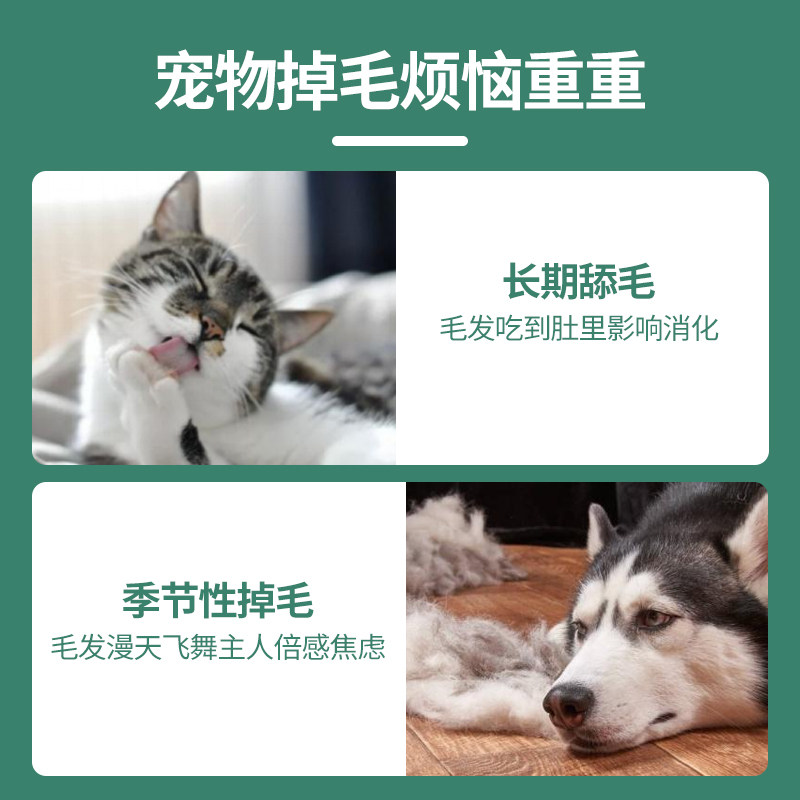 克里斯汀森针梳子如何轻松解决爱宠打结烦恼？2025年最实用的宠物护理工具推荐