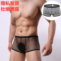 Sexy underwear mens lace mesh hot transparent mesh sexy temptation passion soft breathable boxer pants Sao