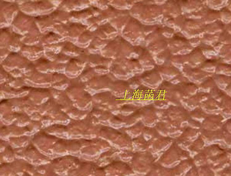 Lafur Elastic Rugged Art Lacquer Silicon Algae Clay Bone Pulp Retro Antique Solid Pattern Paint Raffin Paint