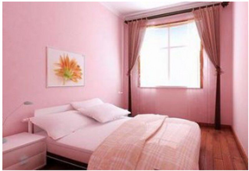 Powder Tone Color Paint Environment Protection Net Taste Emulsion Paint Upscale Interior Wall Wall Paint Multi Color Paint Bamboo Charcoal Lacquer Eco Lacquer