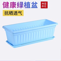 Rectangular plastic flowerpot home plant indoor domestic green radish chassis water tray planting box planting box lai