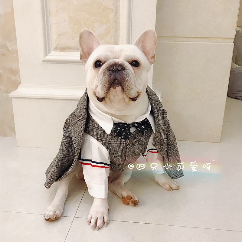 Net red dog clothes wedding suit three-piece pet dress coat French fight wedding suit cat gentleman suit