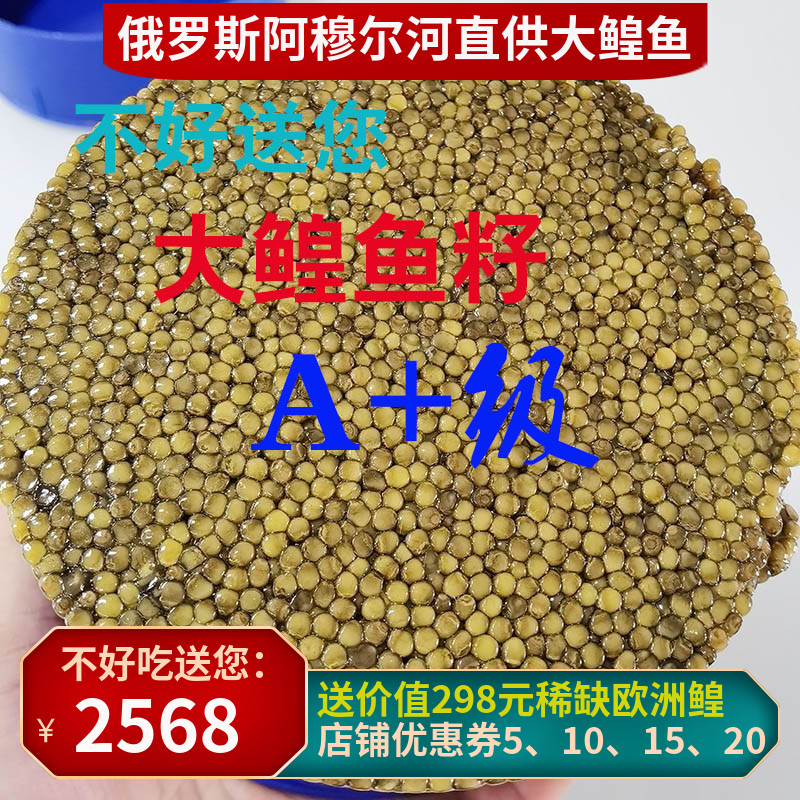 Russian Amur River poache roe High-end 500 g original A+ grade Dahl's sturgeon caviar fresh large grains