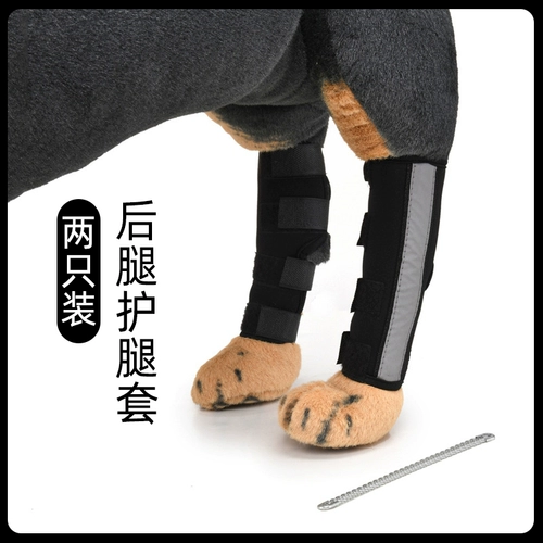 Наколенники, защитный чехол, ремень, длинное защитное снаряжение, фиксаторы в комплекте