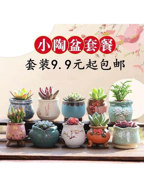 Succulent Flower Pots Ceramic Clearance Simple Indoor Clearance Sale Special Price Home Succulent Plants Creative Thumb-Sized Small Flower Pots