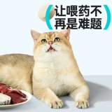 Кошачья ласковая фильм Запрет любовь розовый мужской и женский кошек Специальный измерительский эструс препятствует фильму «Похоть»