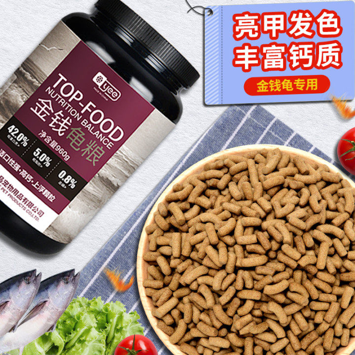 Turtle turtle food money turtle yellow edge yellow throat imitation water turtle food half water turtle food feed turtle food South stone money turtle food