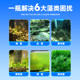 yee fish tank algaecide moss remover moss remover removes green water brown algae green algae black hair algae without harming fish