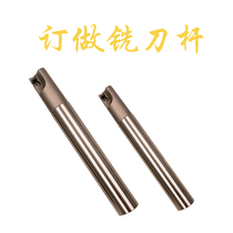 Custom-made milling tool holder Professional and reliable milling tool straight handle Standard keyway diameter punch crown promotional discount crazy grab