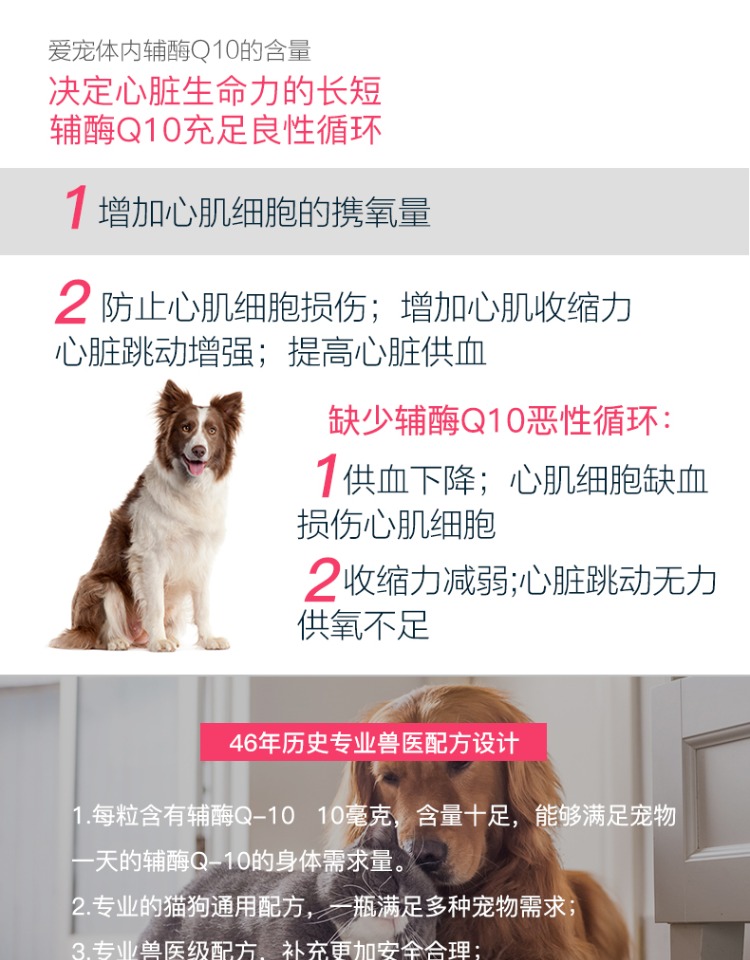 VetriScience pet tim coenzyme q10 dog cat phổ tim phì đại sản phẩm sức khỏe chống oxy hóa - Cat / Dog Health bổ sung sữa cho chó uống	