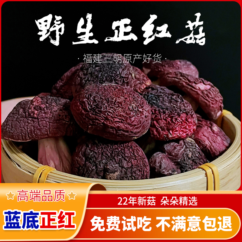 Red mushroom Fujian wild 500g red mushroom authentic fresh gift box special grand red mushroom Sanmingwuyi mountain