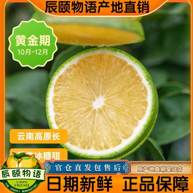 Chen Yi's Story Ailao Mountain Rock Sugar Orange Mandarin Orange