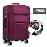 618 Purple -Red Oxford Cloth Close Chele Crowned Renter