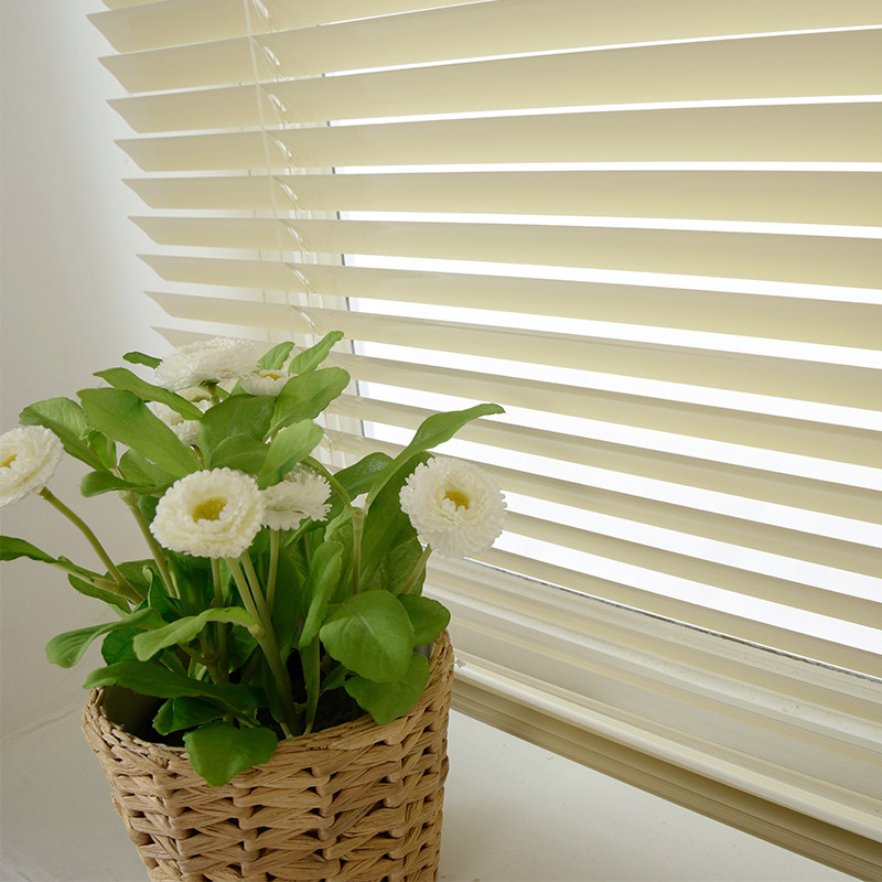 ���оӰ�Ҷ��������Ҷ001