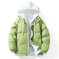 HNBC-062 Fruit Green