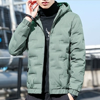 WW-922 Bean Green