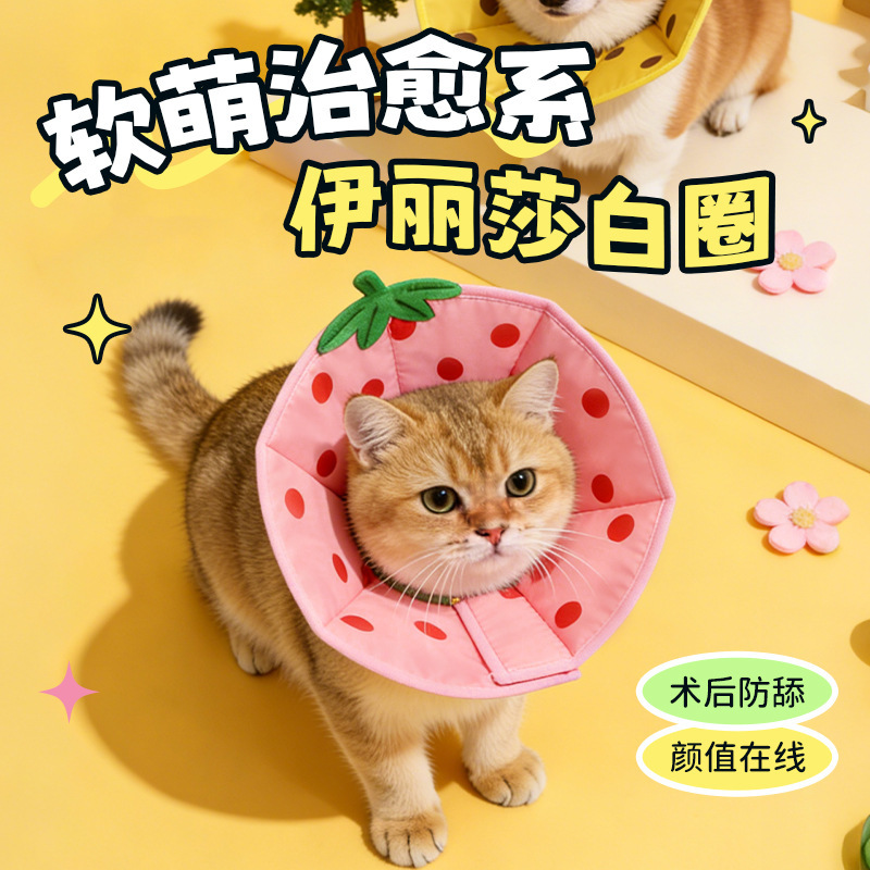 Fur Ball Supply Agency|Amazon Elizabethan Collar with Cartoon Print Protective Cover for Cats Anti-Licking Sterilization Collar Fur Ball Supply Agency|Amazon Elizabethan Collar with Cartoon Print Protective Cover for Cats Anti-Licking Sterilization Collar