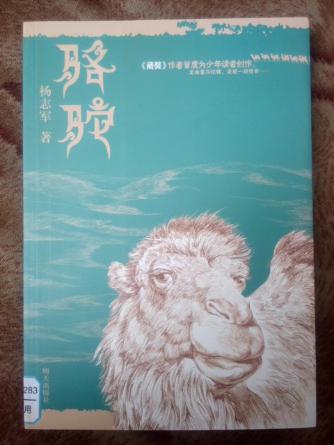 Camel Yang Zhijun 9 5 free shipping