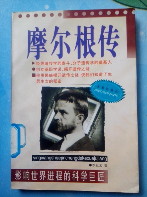 Morgen Chuanhuan Li Si Meng with the old version of the original collection of the collection