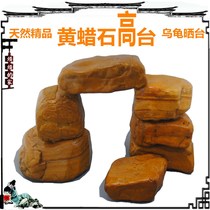 Yellow wax stone deep water high platform water level fish tank rockery garden landscaping yellow-throated tortoise hair color sun back to avoid rest