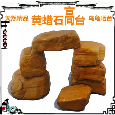 Yellow wax stone deep water high table water level fish tank Rockery Garden landscape yellow throat turtle hair color Sun back to avoid rest