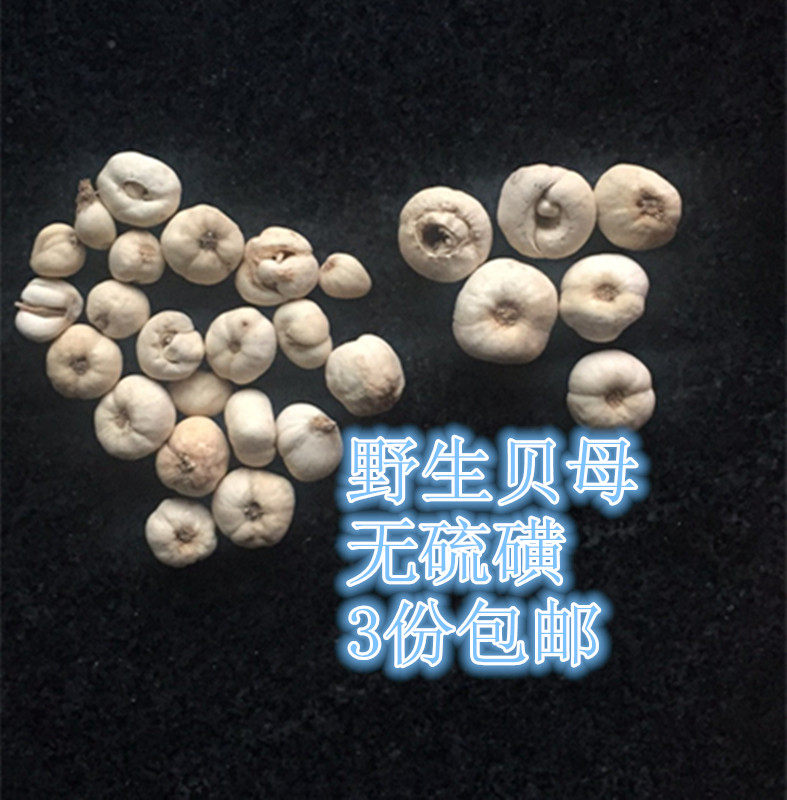 Zhengzong Northeastern wild Sichuan fritillary mother sieves the traditional Chinese herbal medicine of the small Sichuan fritillary mother useless sulphur lavender.