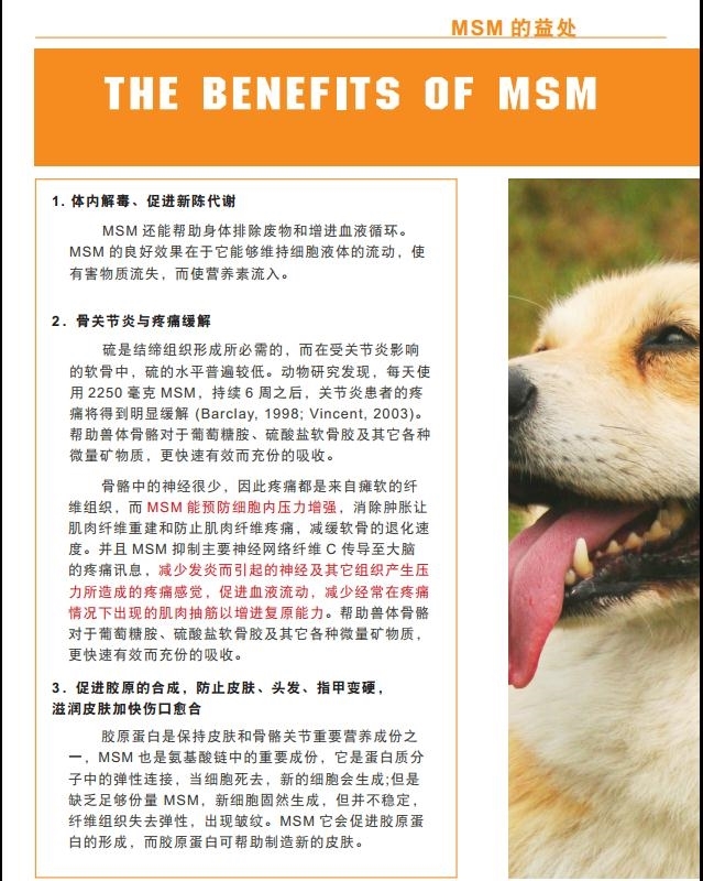 Mỹ San Marino sức sống chung glucosamine chó lớn và mèo khớp tinh thần sản phẩm sức khỏe viêm khớp chó sữa bột cho chó con