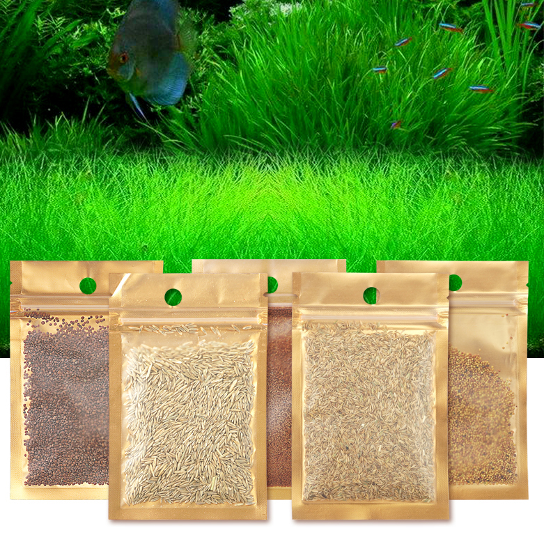 Fish tank made view bottom sand water grass seed love grass lucky grass calf fur grass small to leaf grass seed big to leaf