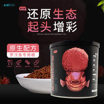 Giindigen eco-formula Food Sushi head Rohan fish Feed up for a sensual and sensual sensual enhancement gold flower fish food