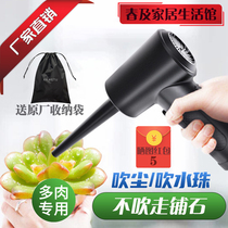 Wireless dust blower high power small portable succulent water blowing artifact notebook keyboard chassis computer dust collector