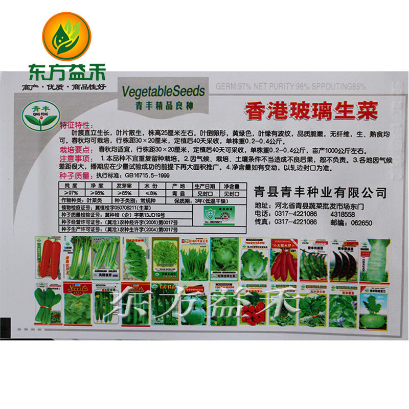 Vegetable Seeds Hong Kong Glass Lettuce Seeds Balcony Planting Pollution Free Vegetables 5g