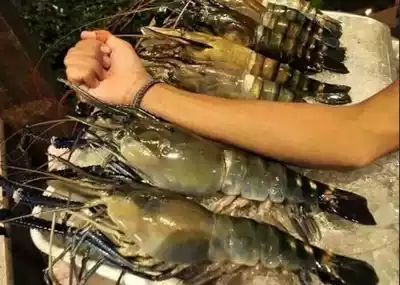 Macrobrachium rosenbergii seedlings pure freshwater shrimp seedlings Roche shrimp seedlings Taihu Lake 2 ornamental fish