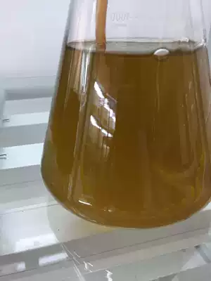 Weiss's seaweed chain algae species oyster seedlings Oyster Fry fish and shrimp open feed rotifers SPS LPS seawater