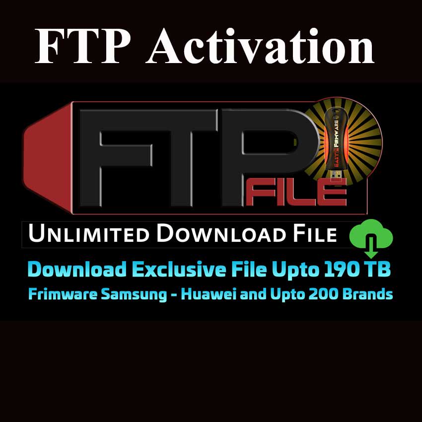 EFT DONGLE activates the FTP function (requires the SN number to be provided)