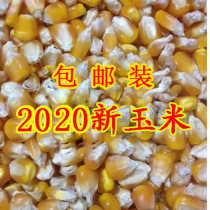 (50kg) 2021 farmhouse new corn kernels dry corn kernels chicken feed duck bird pet feed pigeon grain