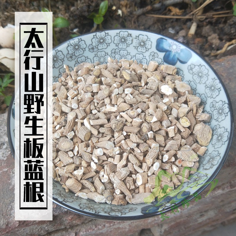 Arbitrary 2 pieces of Taihang Mountain natural wild Isatis Root 500 gr Grinding India Powder