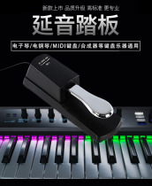 HV AUDIO PRO TB-1 electronic organ synthesizer electric piano keyboard Yanyin pedal talkback pedal