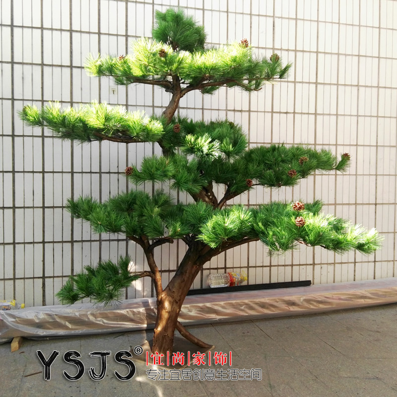 Lobby Lobby Lobby Decorated Welcome Pine Bottom Pine Place Customized Counterfeit Hansen Zen