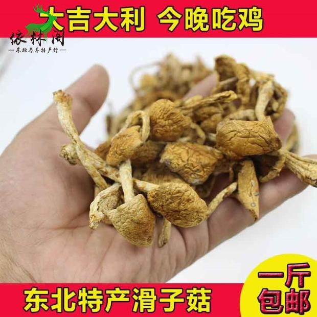 Northeast Changbai Mountain slide mushroom dry goods 250g Jilin province specialty slide mushroom small yellow mushroom dry goods stewed chicken