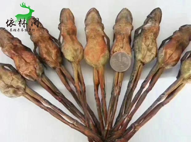 Dried frog Northeast Hash Toad Changbai Mountain Specialty Jilin female leopard snow clam oil dried clam forest frog oil