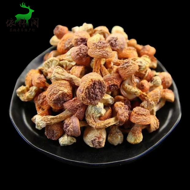 Matsutake new goods Northeast Changbai Mountain specialty matsutake dry goods premium dried matsutake 250 grams and a half pounds of mushrooms