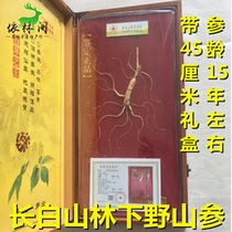 15 years of Changbai Mountain wild forest ginseng northeast mountain ginseng gift box wild ginseng gift box plus certificate