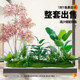 Artificial Green Plant Landscaping Combination for Window Decoration, Fake Plant Landscape for Courtyard Arrangement, Entrance Hall Interior Ambiance Tree