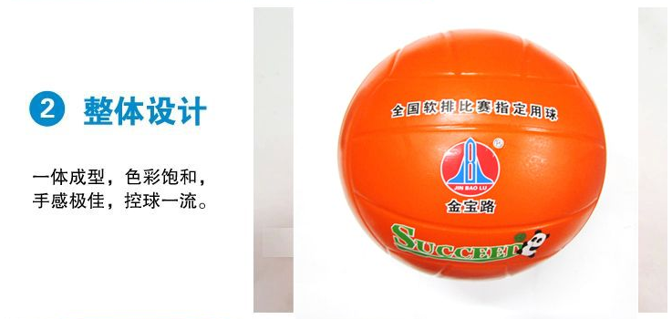 Ballon de volley - Ref 2010512 Image 5